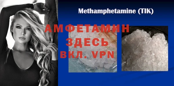 шишки Новодвинск