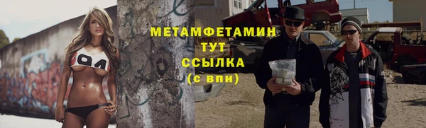 шишки Новодвинск