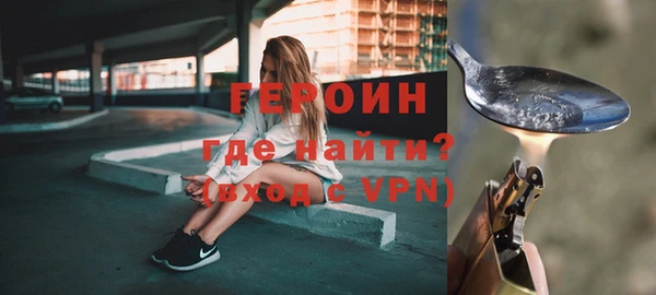 шишки Новодвинск