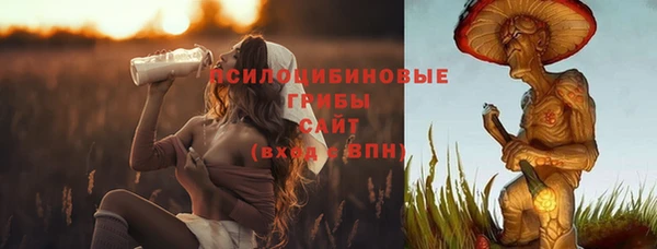 a pvp Абинск