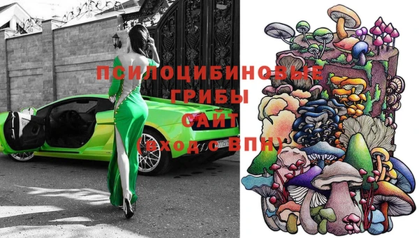 a pvp Абинск