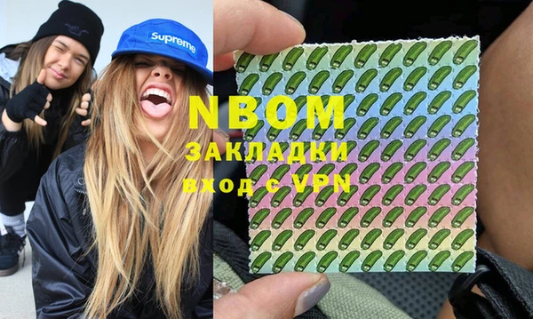 шишки Новодвинск
