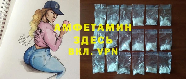 шишки Новодвинск