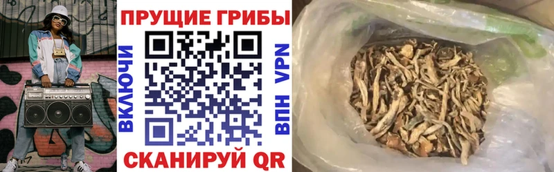 где купить   Краснозаводск  гидра ссылки  Галлюциногенные грибы Magic Shrooms 